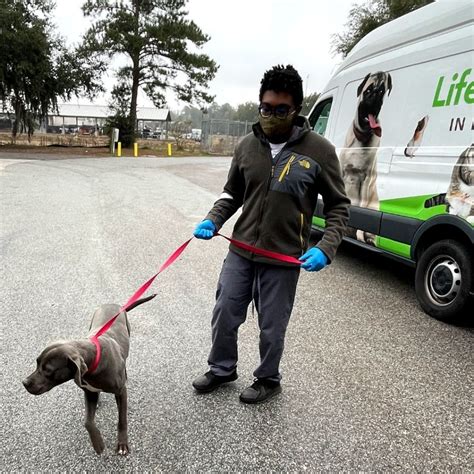 Charleston animal shelter - The shelter said the dogs — Amanda, Cameron, Jodi and Nikki — were abandoned during a storm early March 9. The National Weather Service …